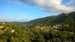 View from Achiote