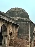View of one of the domes