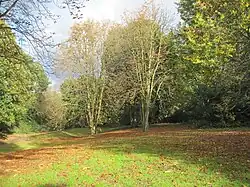 Belmont Open Space