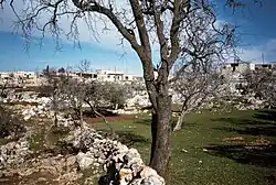 Banabil in the 1990s