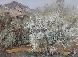 Apple Blossoms