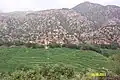 Bibiyal, Korengal Valley, Kunar Province, Afghanistan.