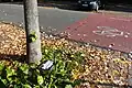A bicycle counter in Mannheim with pneumatic hoses to detect the number of cyclists