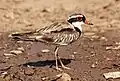 Northern Territory, Australia