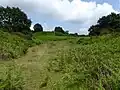 Blackborough End Pit
