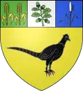 Coat of arms of Pizay