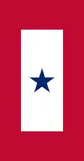 Blue Star Service Banner