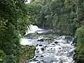 Bonnington Linn.