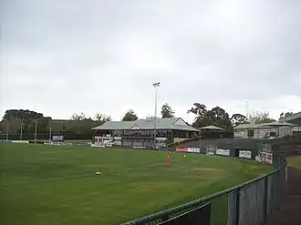 Box Hill City Oval.jpg