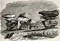 Anvil and Porpoise Head, 1856