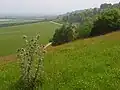 Broughton Down