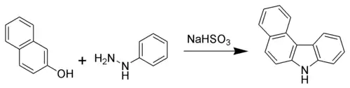 The Bucherer carbazole synthesis