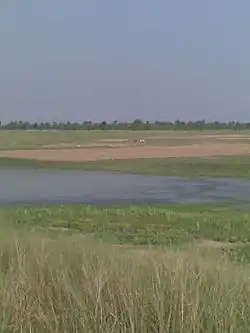 Budhi Gandak