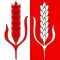 Flag of Bretonnières