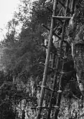 A ladder used for ceremonial purposes in Indonesia