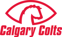 Team logo