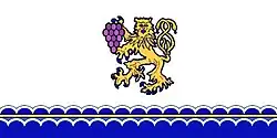 Flag of Camenca