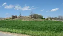 Campbell site