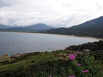 Campomoro beach