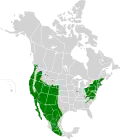 1978–1981