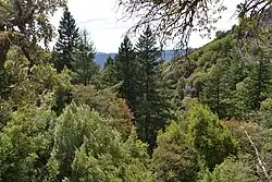 A view of the park