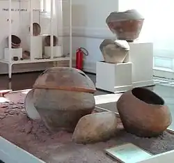 Tupi-guarani