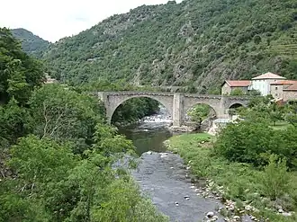Chervil bridge