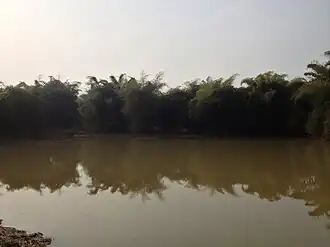 Natural waterhole