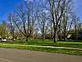 'Christine Buisman', Chapin Parkway, Buffalo, New York (May, 2020)