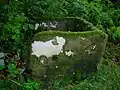 'Side' view of the possible primitive cheese press with holes visible.[7]