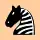c8 black zebra