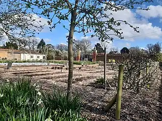 Vegetable beds