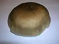 The pileus or cap