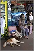 Outside the former Nimbin Museum, March 2008