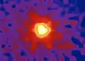 Comet Wilson by Pioneer Venus Orbiter
