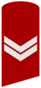Two-bar chevron