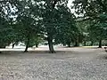 Crease Park