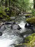 Welcome Creek in spring