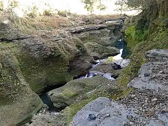 Davis Fall