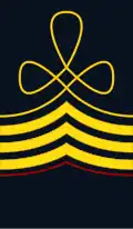 Field uniform (1910–1915)
