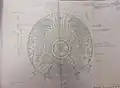 The design of the emblem in 1992