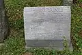 Dewitt Clinton Lewis tombstone in Oaklands Cemetery