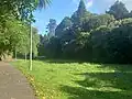 Dingle Dell path and field