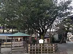 At Oyama Shrine