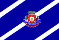 Flag of Dom Viçoso