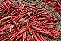Dried red chili peppers
