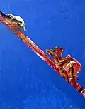 Untitled, 2003