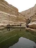 Ein Avdat pools