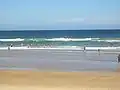 Elouera Beach
