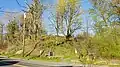 The edge of Errol Heights Park, next to a road